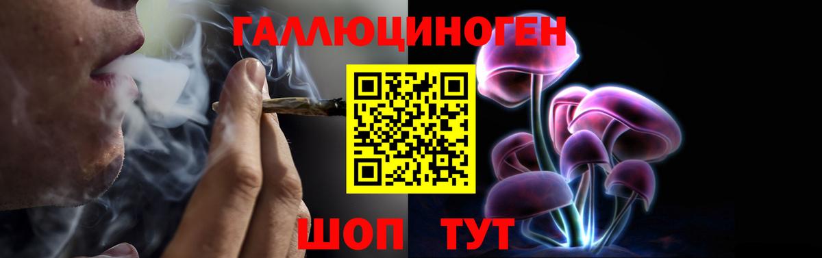 Галлюциногенные грибы Cubensis  Вход с VPN  Галлюциногенные грибы Psilocybine cubensis  Тимашёвск 