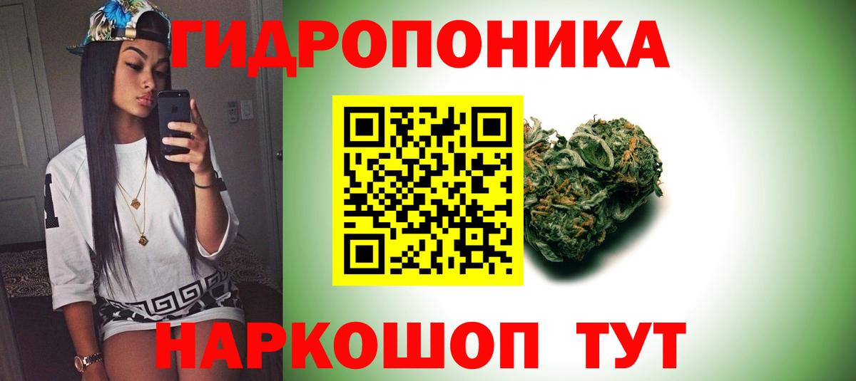 МАРИХУАНА планчик  Вход с VPN  Тимашёвск  Марихуана индика 